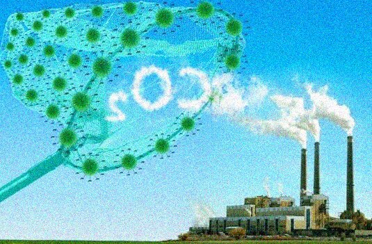 Le emissioni di CO2 sono calate in 27 grandi città dal 2012