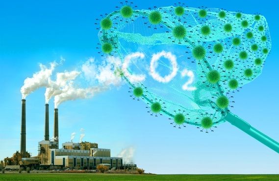 Le emissioni di CO2 sono calate in 27 grandi città dal 2012