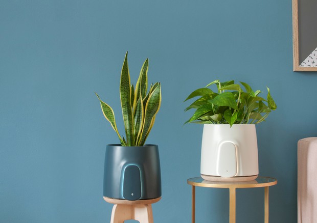 104d03422f9baba94f7bfd49c7e60a85