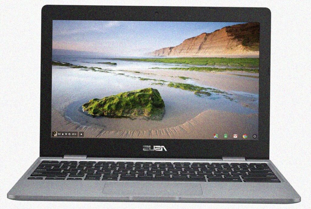ASUS Chromebook C223