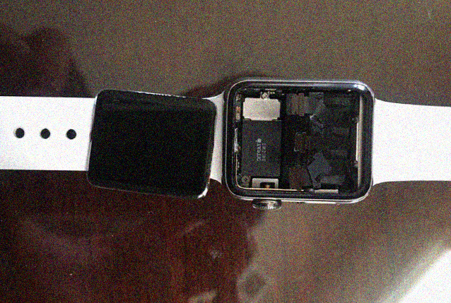 Apple Watch class action mod 926141