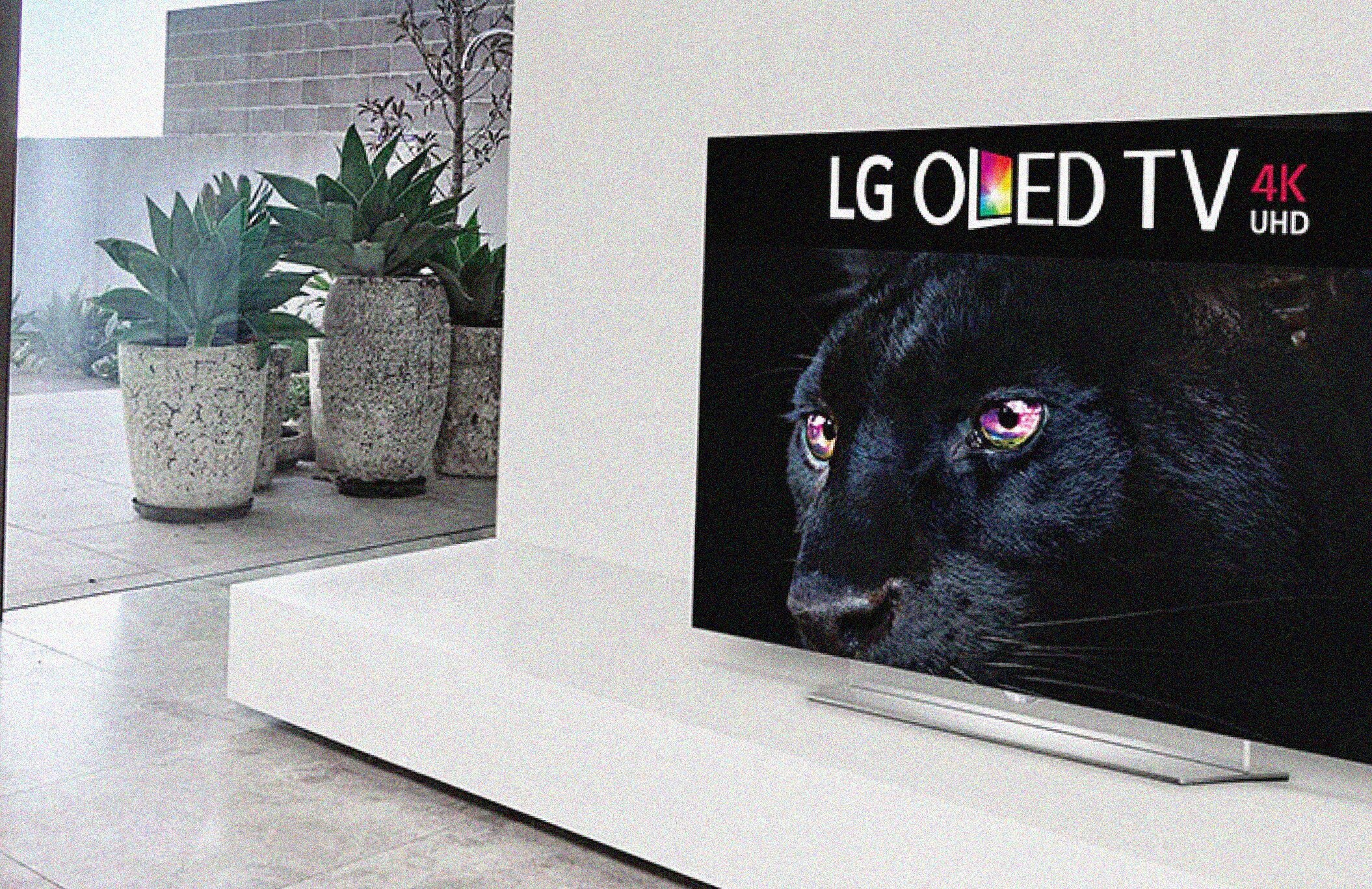 LG OLED 2016