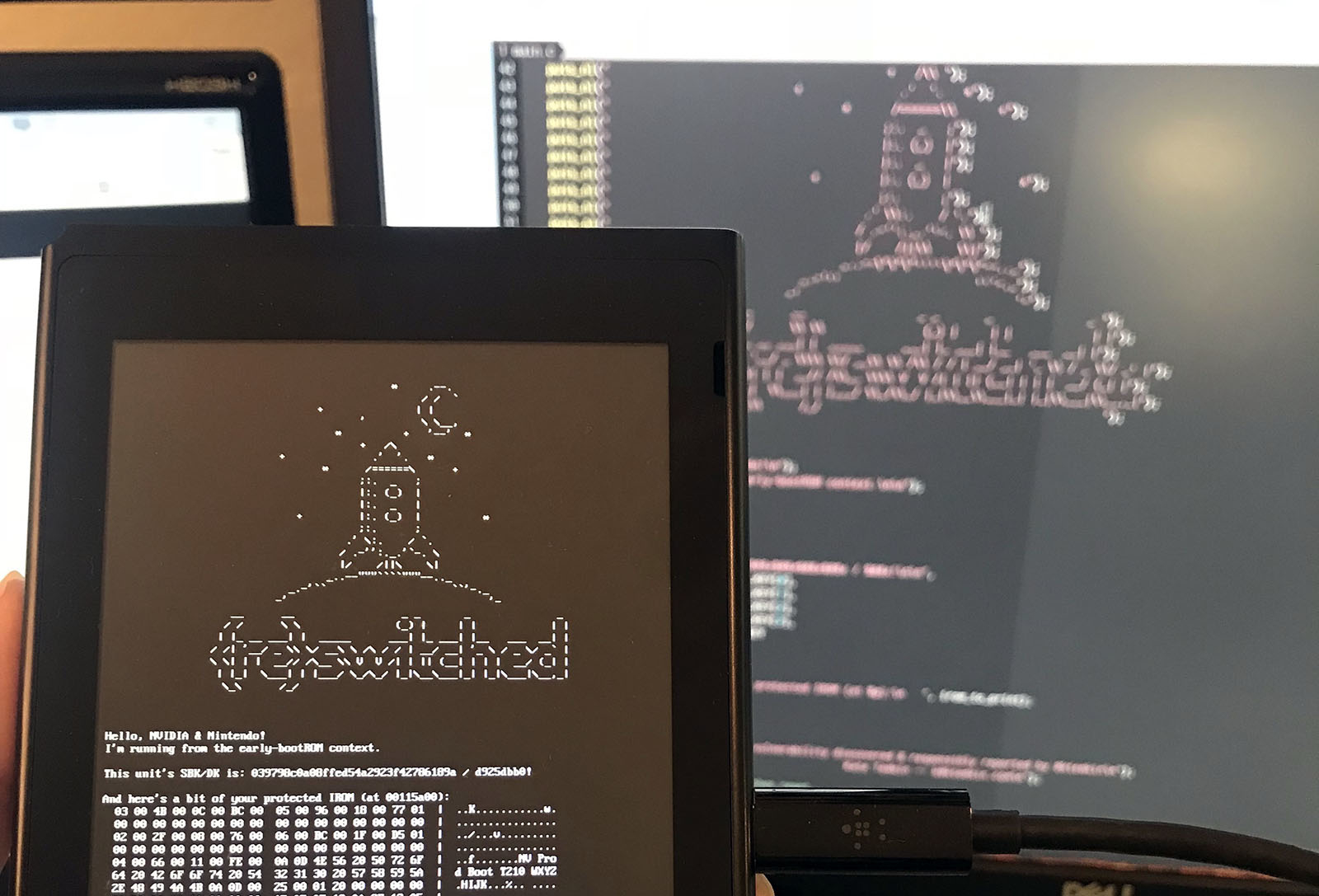 Nintendo Switch hack