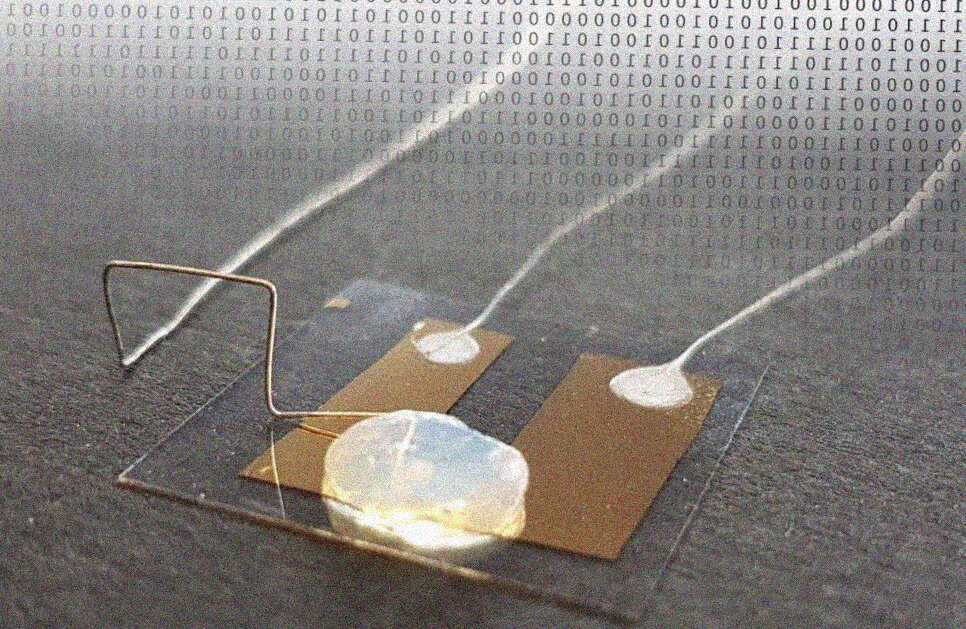 Transistor a singolo atomo, il futuro dei computer quantistici è più vicino