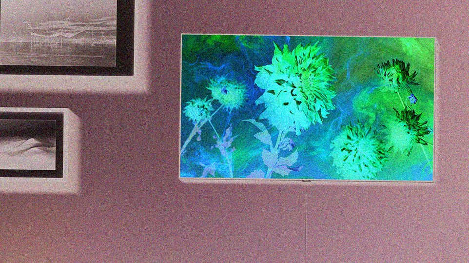 Quanto dura una TV LCD mod 6b13f7