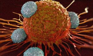 Vaccino per il cancro