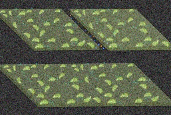 Il MIT ha creato un materiale che cresce e si ripara da solo con la CO2