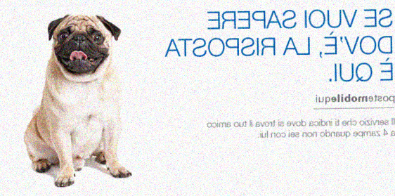 Con PosteMobile Qui potete conoscere sempre dove si trova il vostro animale domestico