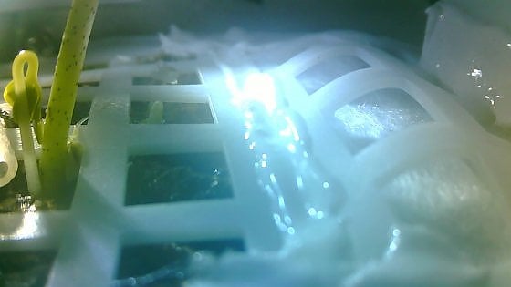 171911524 bd0889c3 74bd 4dd8 923a ecb108283d2b