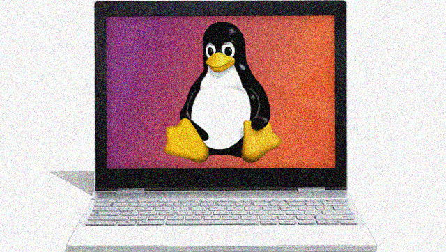 Chrome OS 74 potrebbe introdurre il backup e il ripristino per le app Linux