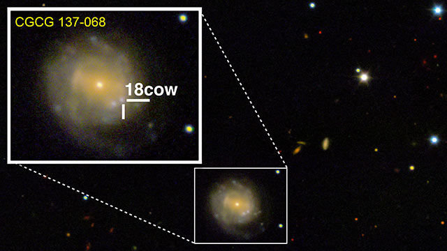 Gli scienziati hanno scoperto "The Cow", la possibile nascita di un buco nero