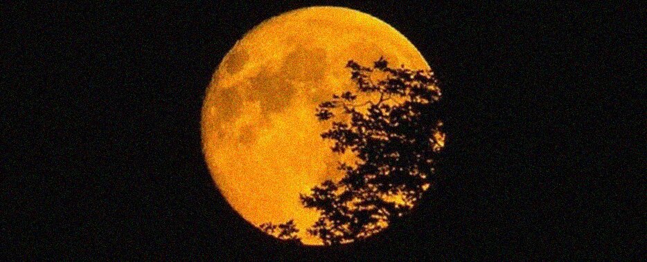 Come e quando osservare al meglio la Superluna del 19 febbraio