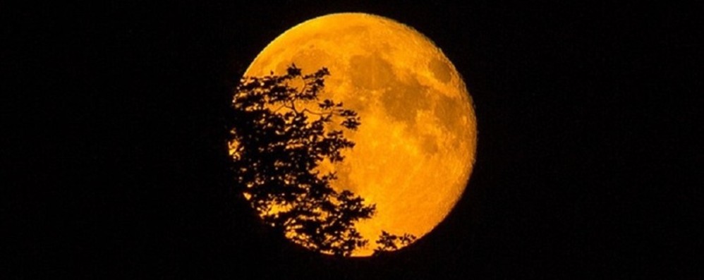 Come e quando osservare al meglio la Superluna del 19 febbraio
