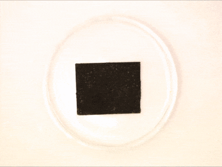 Date il benvenuto alla plastica PDK, in grado di essere riciclata all'infinito 1