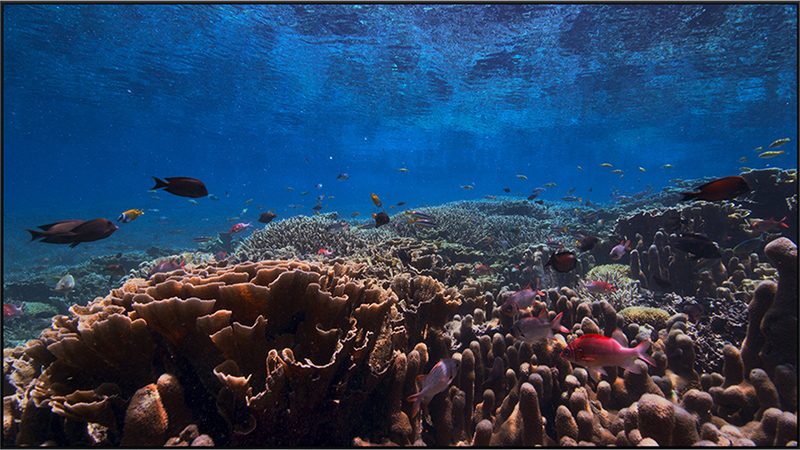 tvOS 13 disponibile ufficialmente: ecco tutte le novità 12