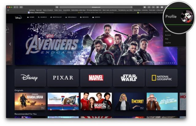 Come cambiare password ed email su Disney+ | TuttoTech.net