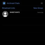 WhatsApp Beta 2.20.30.25 porta il tema scuro anche su iOS 2