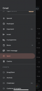 Zoom non funziona cartella SPAM