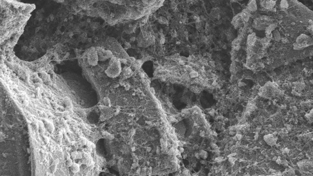 Un nuovo materiale promette di migliorare notevolmente la resa delle batterie