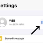 Quante novità nella nuova beta di WhatsApp per iOS: ecco cosa c'è di nuovo 3