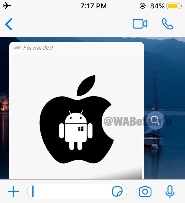 WhatsApp sta lavorando a nuove funzioni di ricerca e ottimizzazione 17