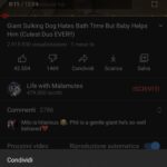 iOS 14: come usare il picture in picture (PiP) 5