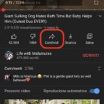 iOS 14: come usare il picture in picture (PiP) 4