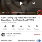 iOS 14: come usare il picture in picture (PiP) 7