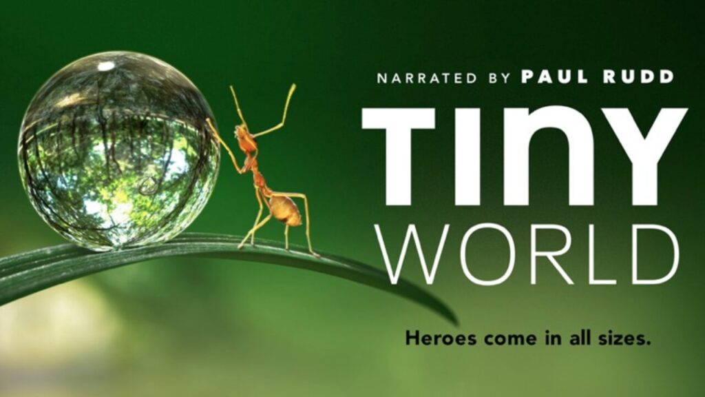 Tiny World - novità Apple TV+ ottobre 2020