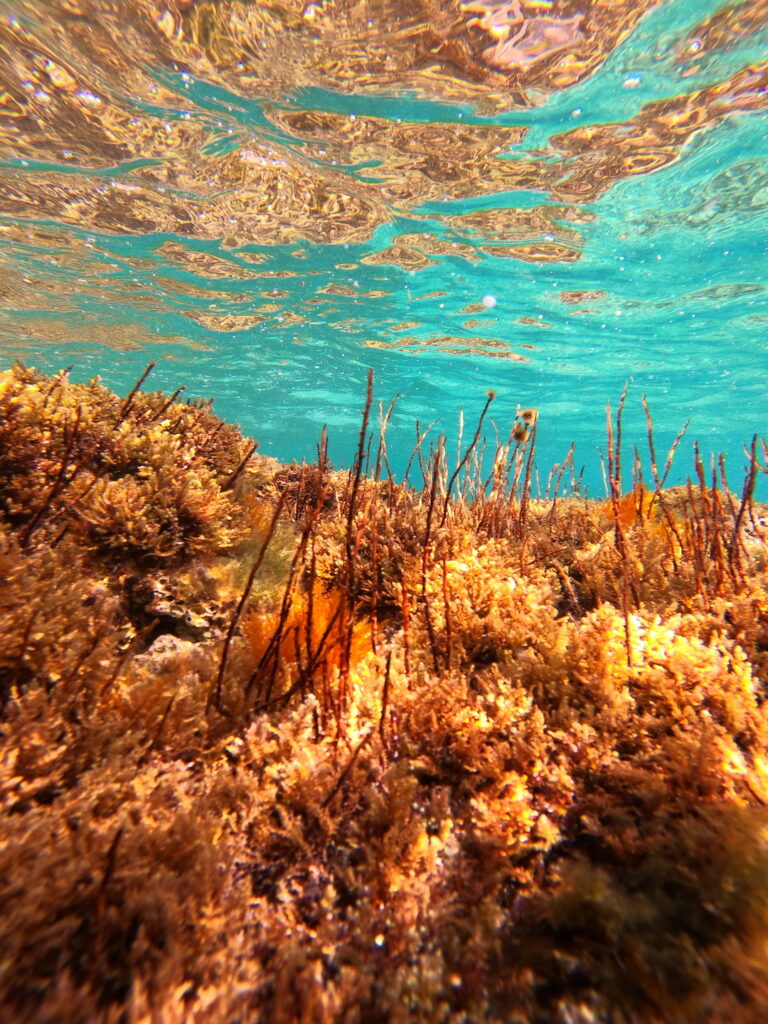 Recensione GoPro Hero8: per chi vuole il top del rapporto qualità prezzo 11