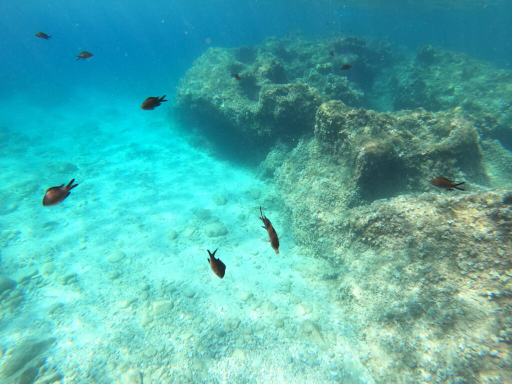 Recensione GoPro Hero8: per chi vuole il top del rapporto qualità prezzo 15