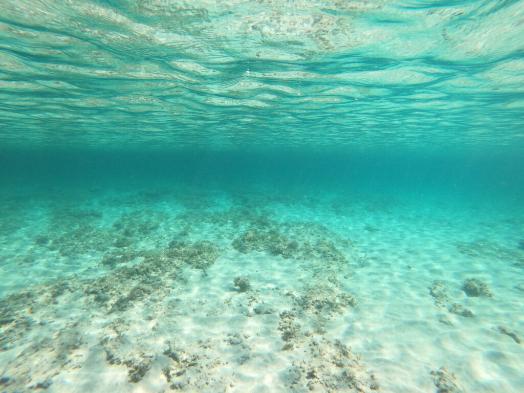 Recensione GoPro Hero8: per chi vuole il top del rapporto qualità prezzo 19