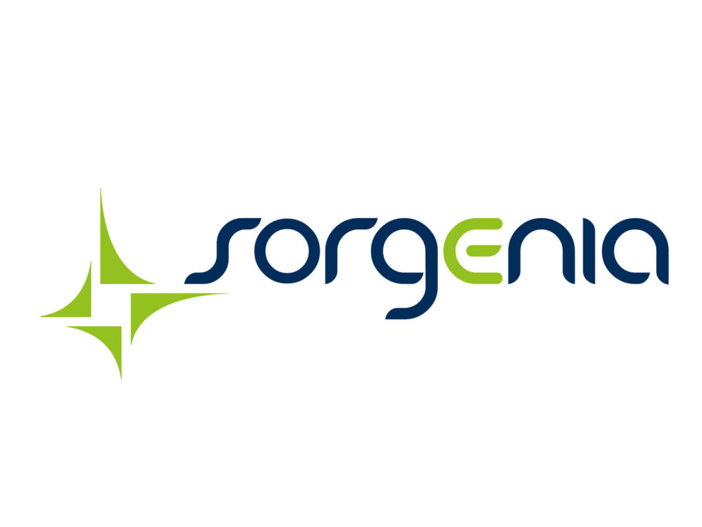 migliori offerte luce