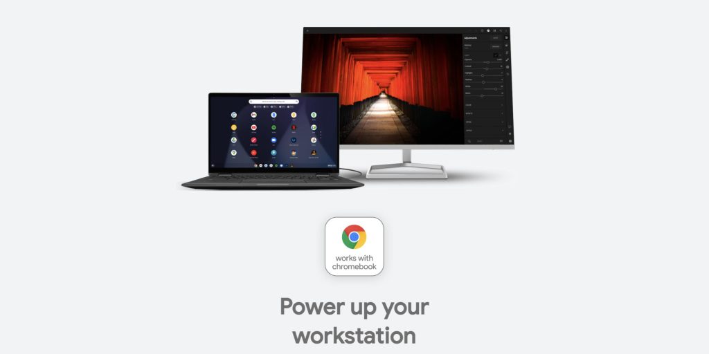 Works With Chromebook