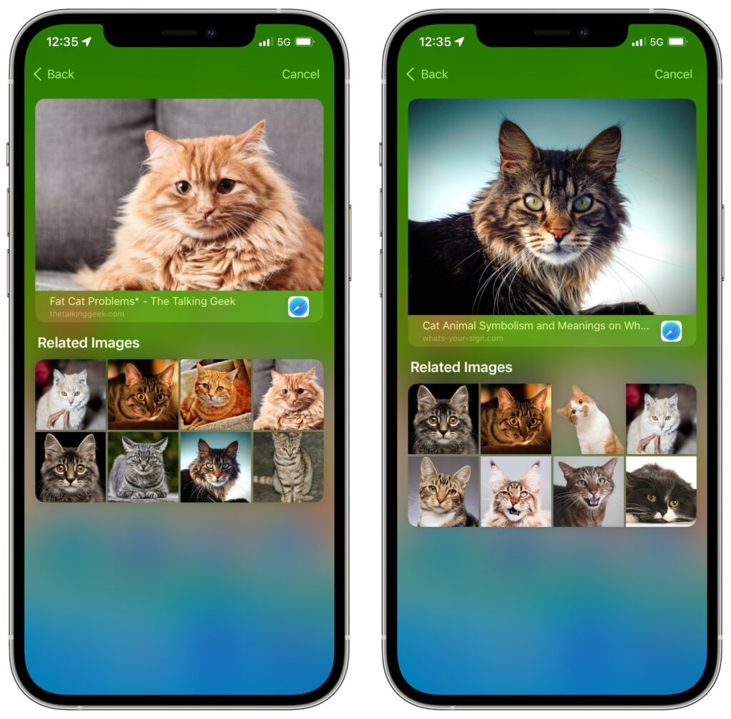 come usare spotlight su ios 15 image search 