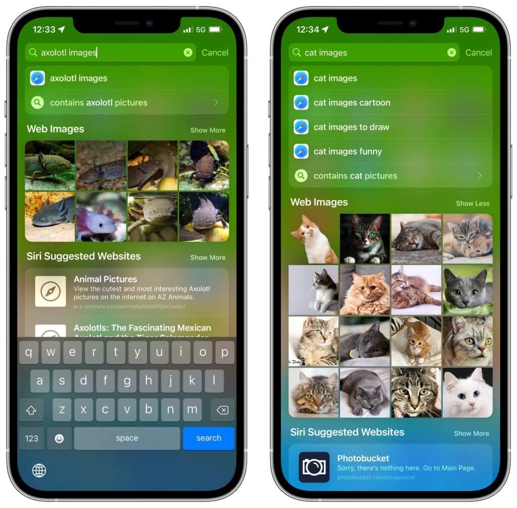 come usare spotlight su ios 15 ricerca immagini