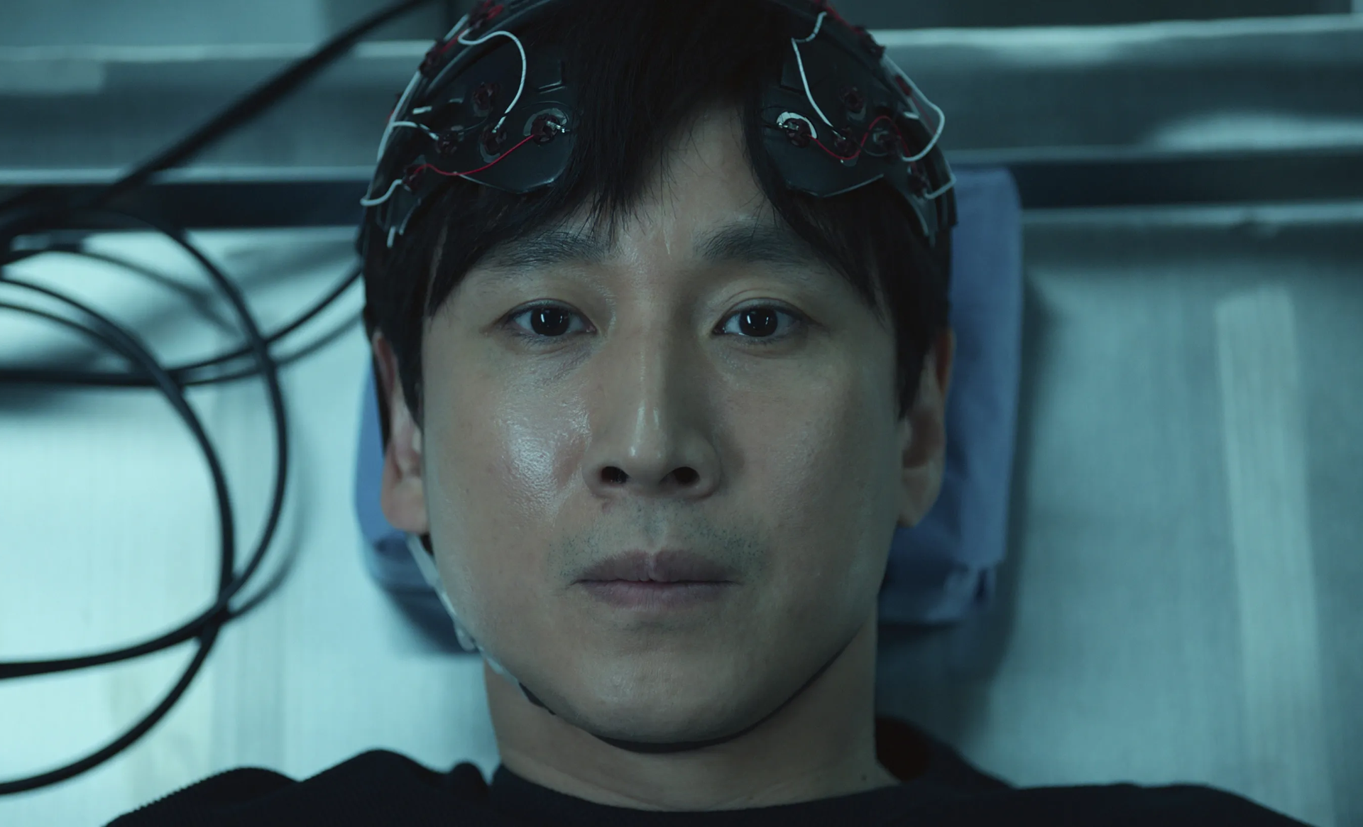 Apple TV+ novità novembre 2021: film, serie tv e originals