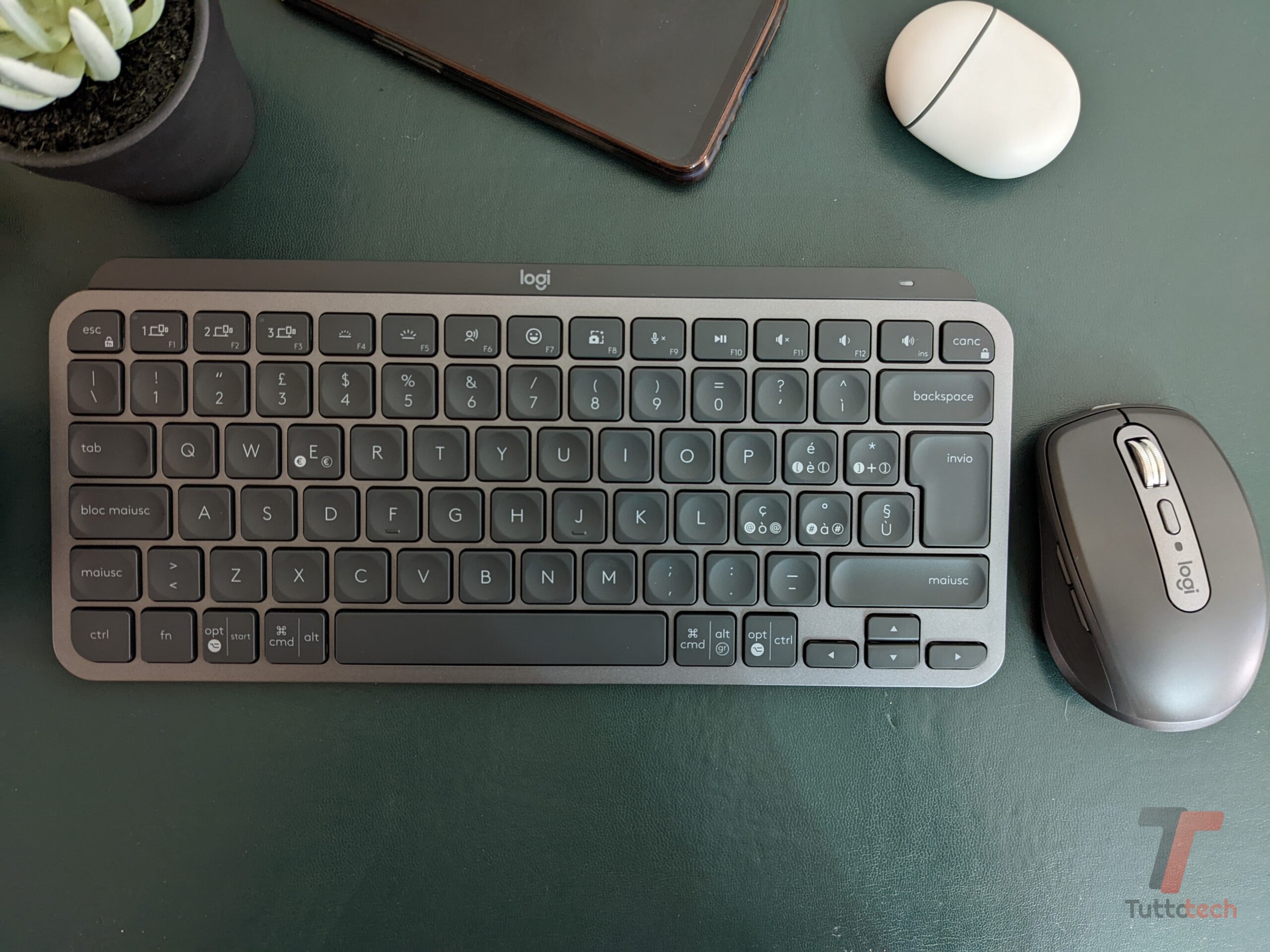 Batch PXL 20220310 161136089 scaled