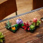 LEGO presenta due nuovi set della collezione Botanical: Orchidea e Piante Grasse 11