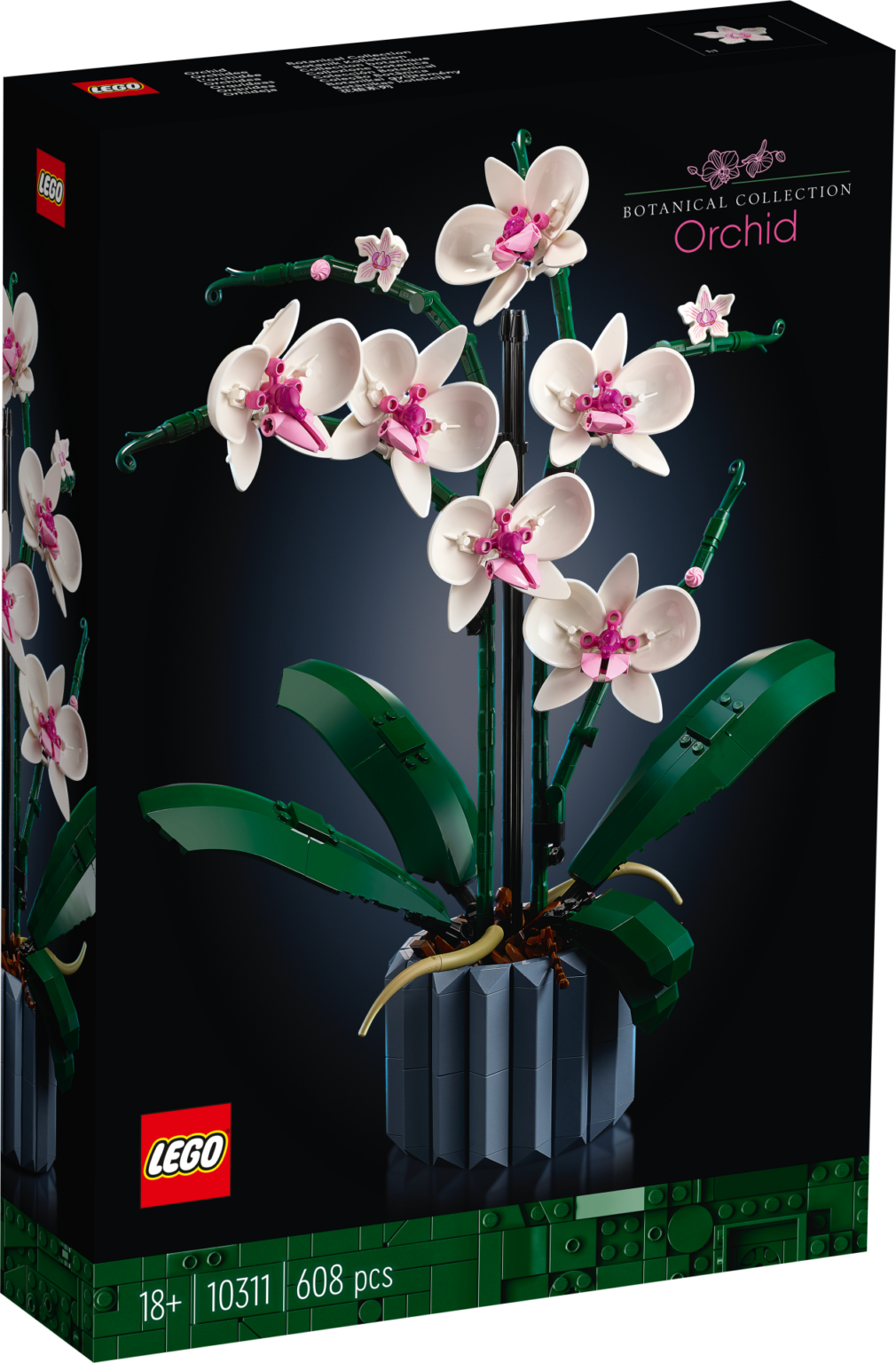 Orchidea e Piante Grasse sono i due nuovi set LEGO