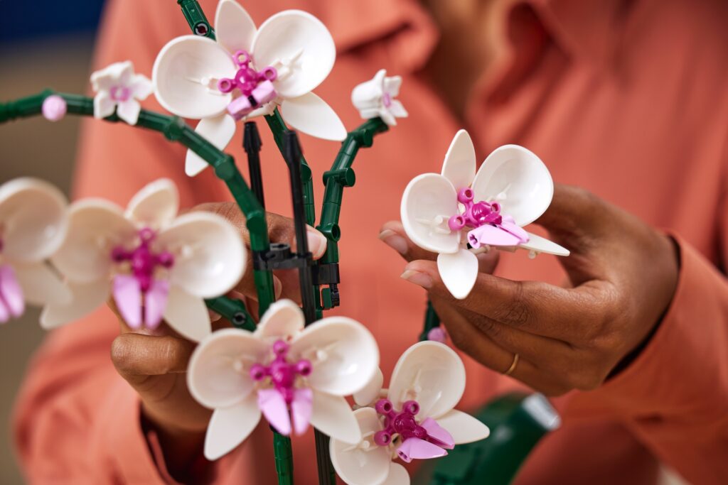 Orchidea e Piante Grasse sono i due nuovi set LEGO