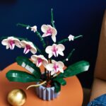LEGO presenta due nuovi set della collezione Botanical: Orchidea e Piante Grasse 2
