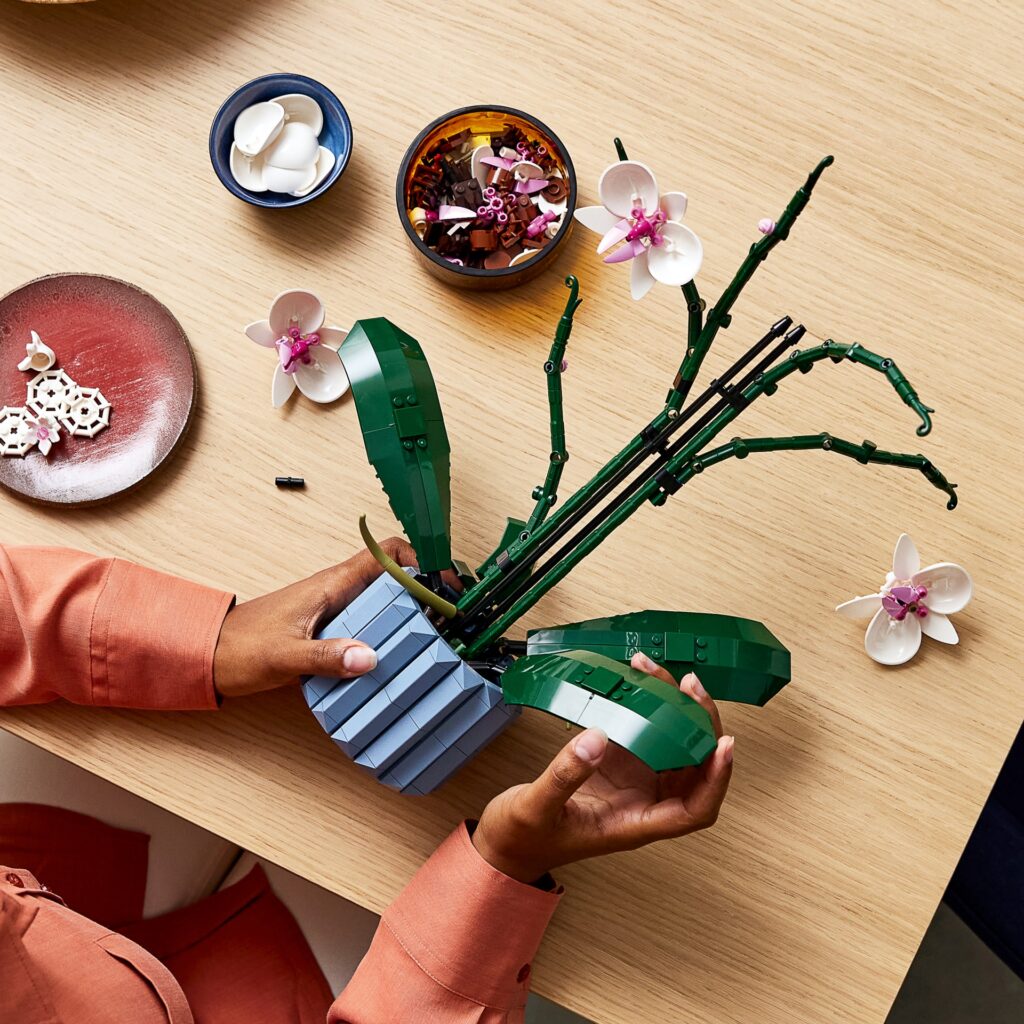 Orchidea e Piante Grasse sono i due nuovi set LEGO