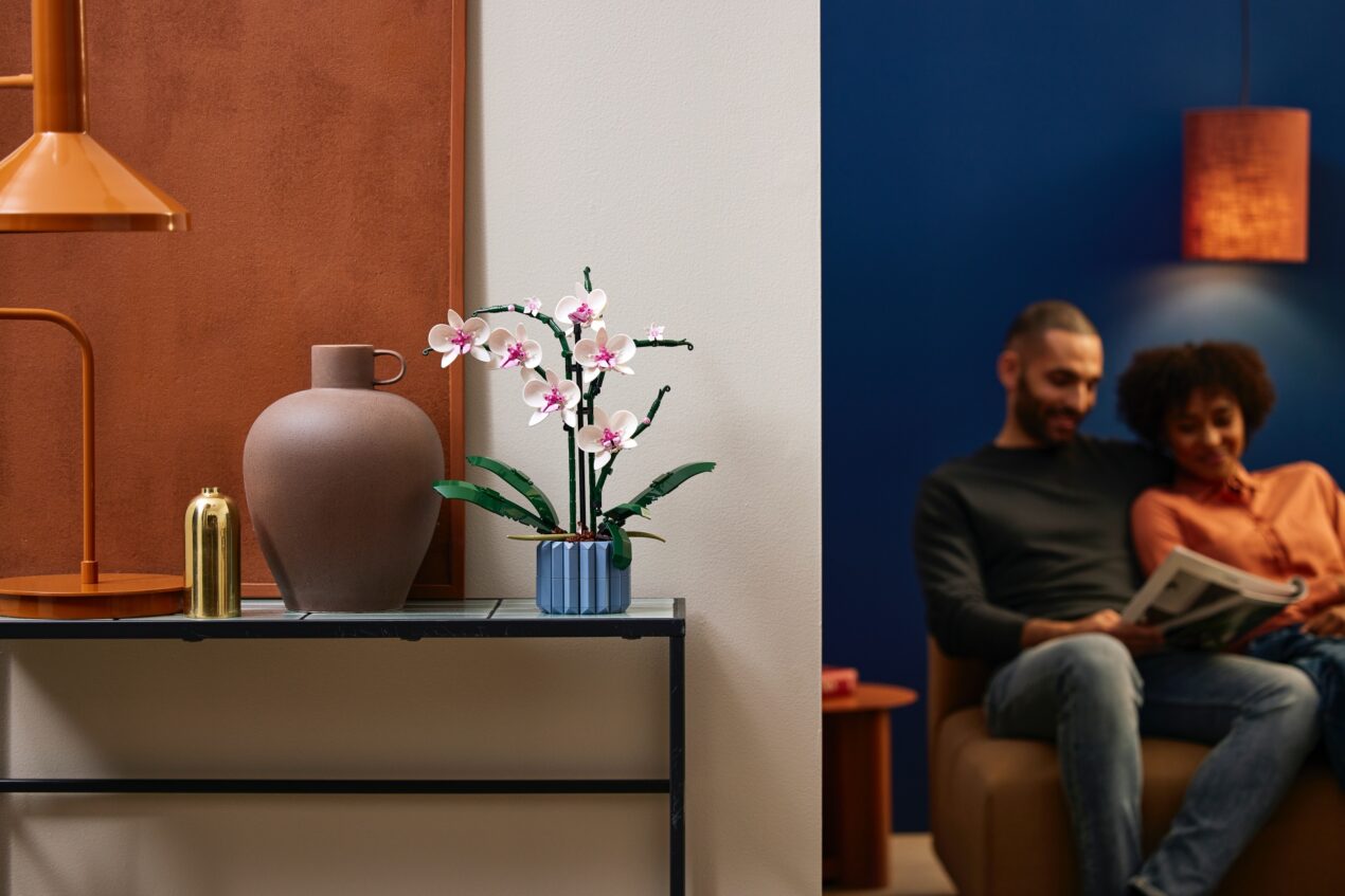 LEGO presenta due nuovi set della collezione Botanical: Orchidea e Piante Grasse