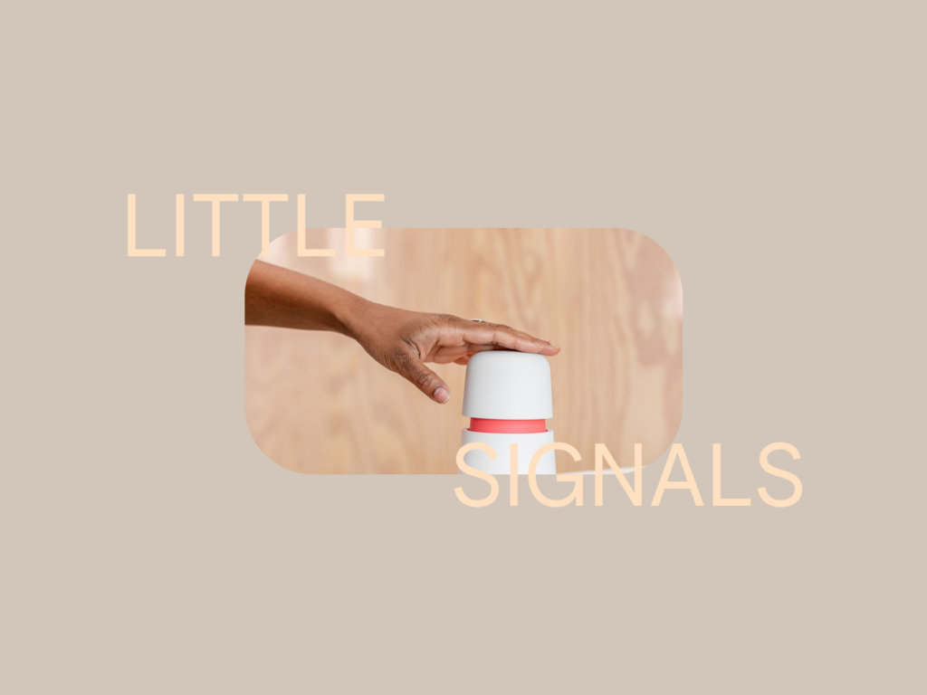 Google Little Signals