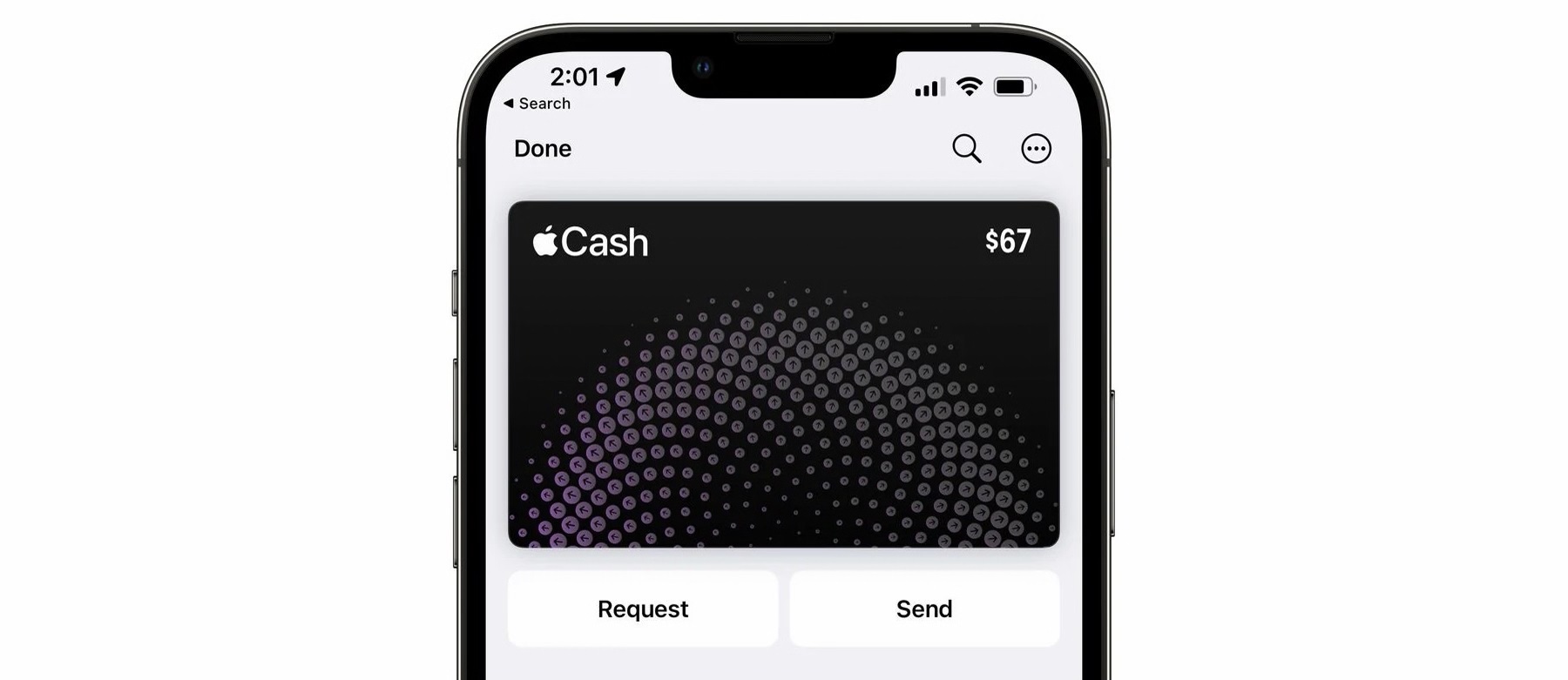 iOS 15.5 beta 1 nuovi pulsanti per Apple Cash in Wallet