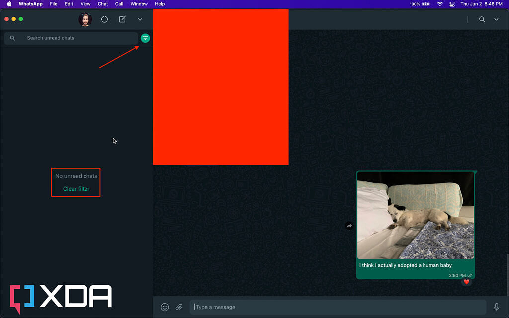 WhatsApp Desktop Beta filtro chat non lette