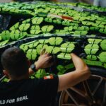 È in esposizione la Lamborghini Sián FKP37 realizzata con oltre 400.000 LEGO Technic 7