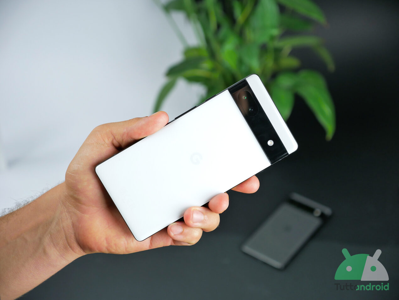 Google premia alcuni utenti con un codice sconto del 15% sul Google Store