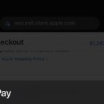 Apple Pay si slega da Safari con iOS 16 per supportare anche altri browser 2